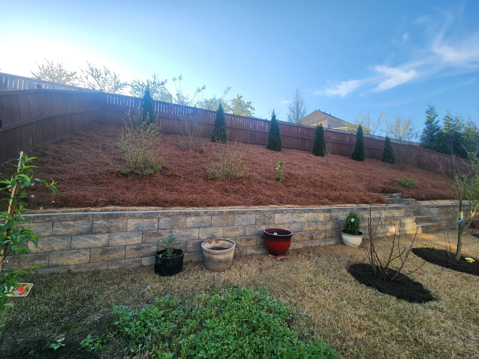 Professional lawn care service