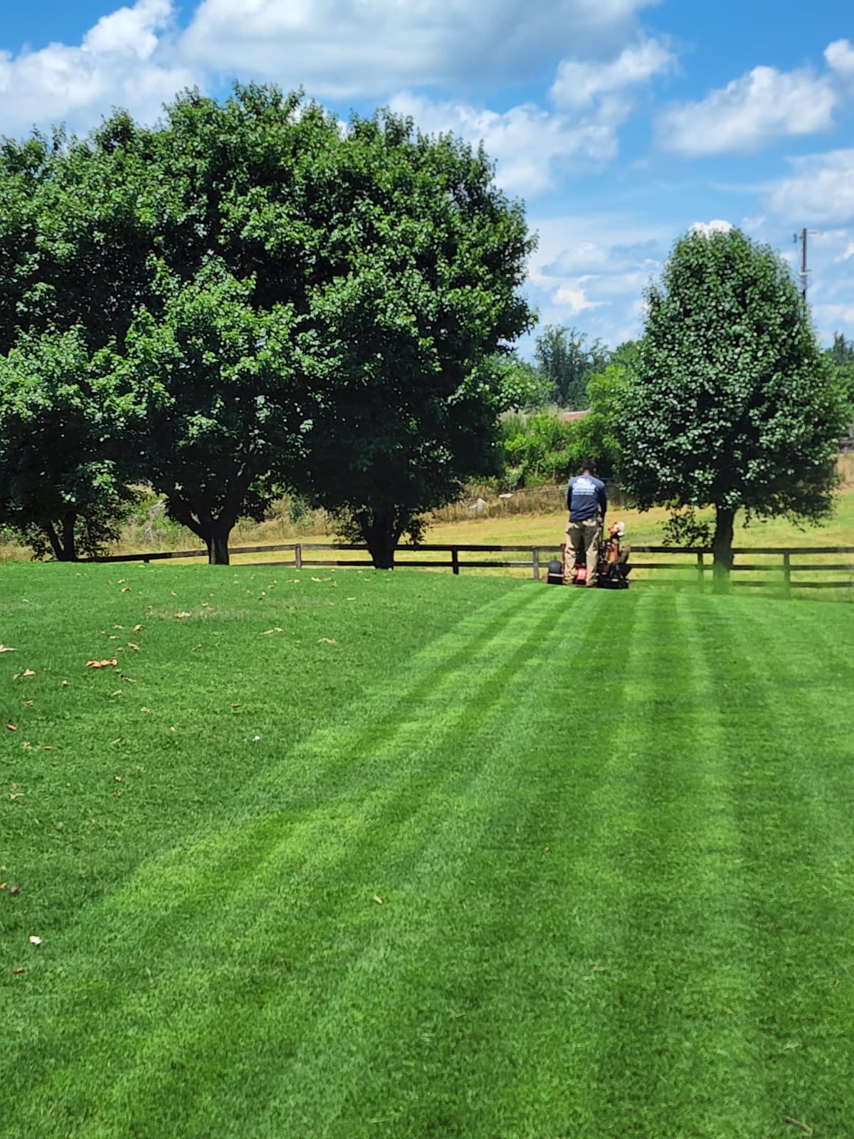 Lawn maintenance service